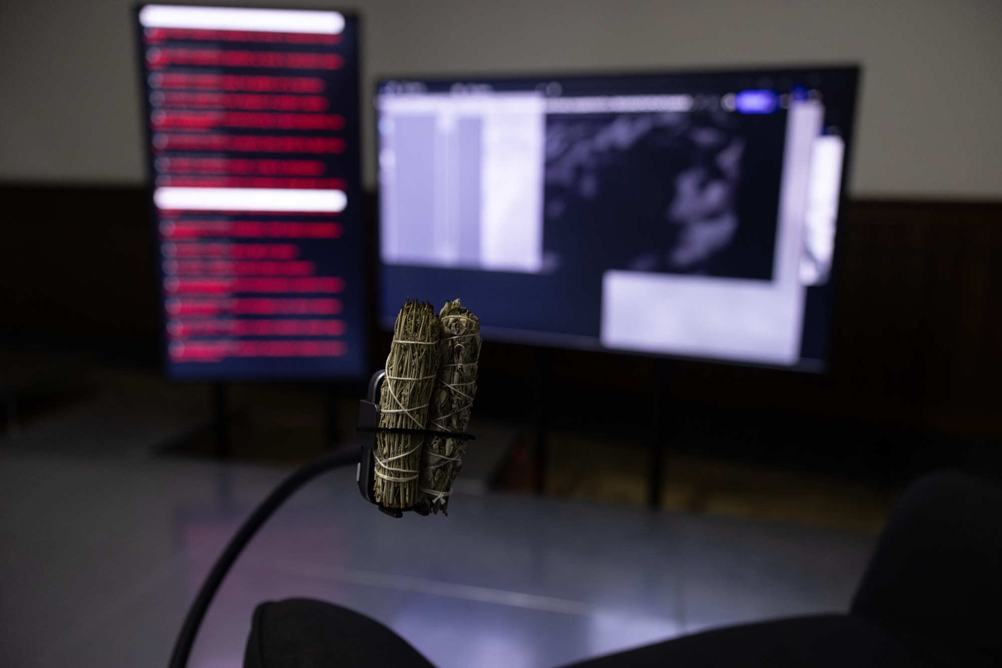 Bundles of dried herbs held in front of two monitors displaying scrolling red text and a grayscale image